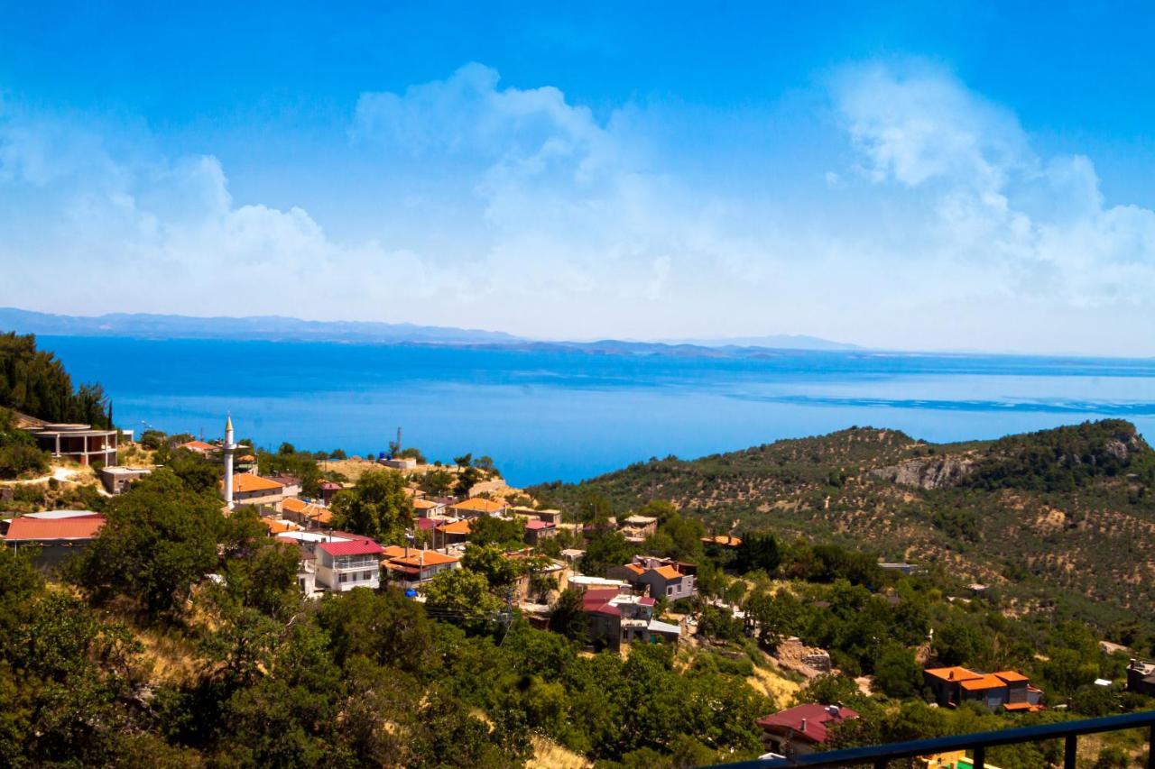 Sazlı Assos Kayalar Terrace酒店 外观 照片