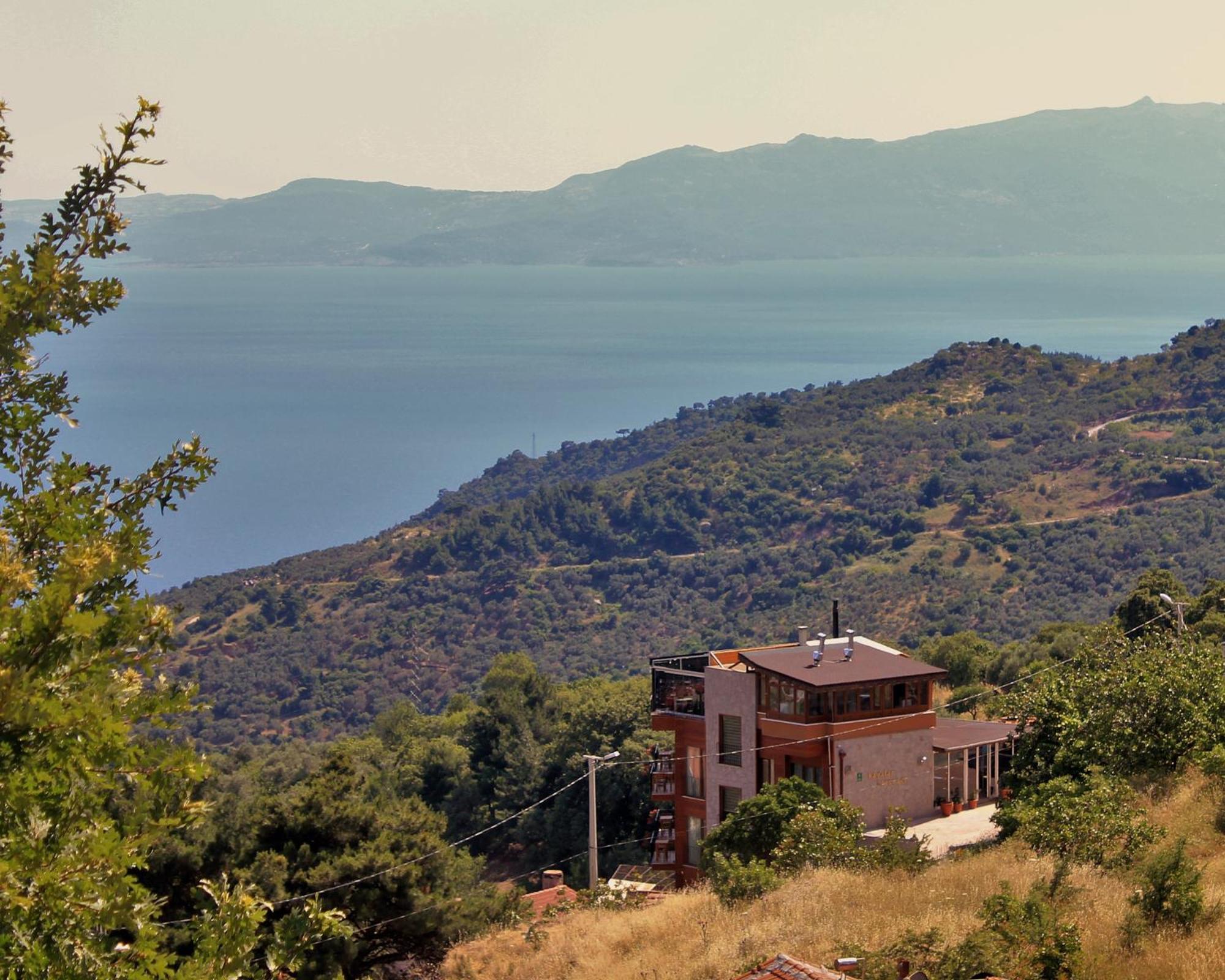 Sazlı Assos Kayalar Terrace酒店 外观 照片